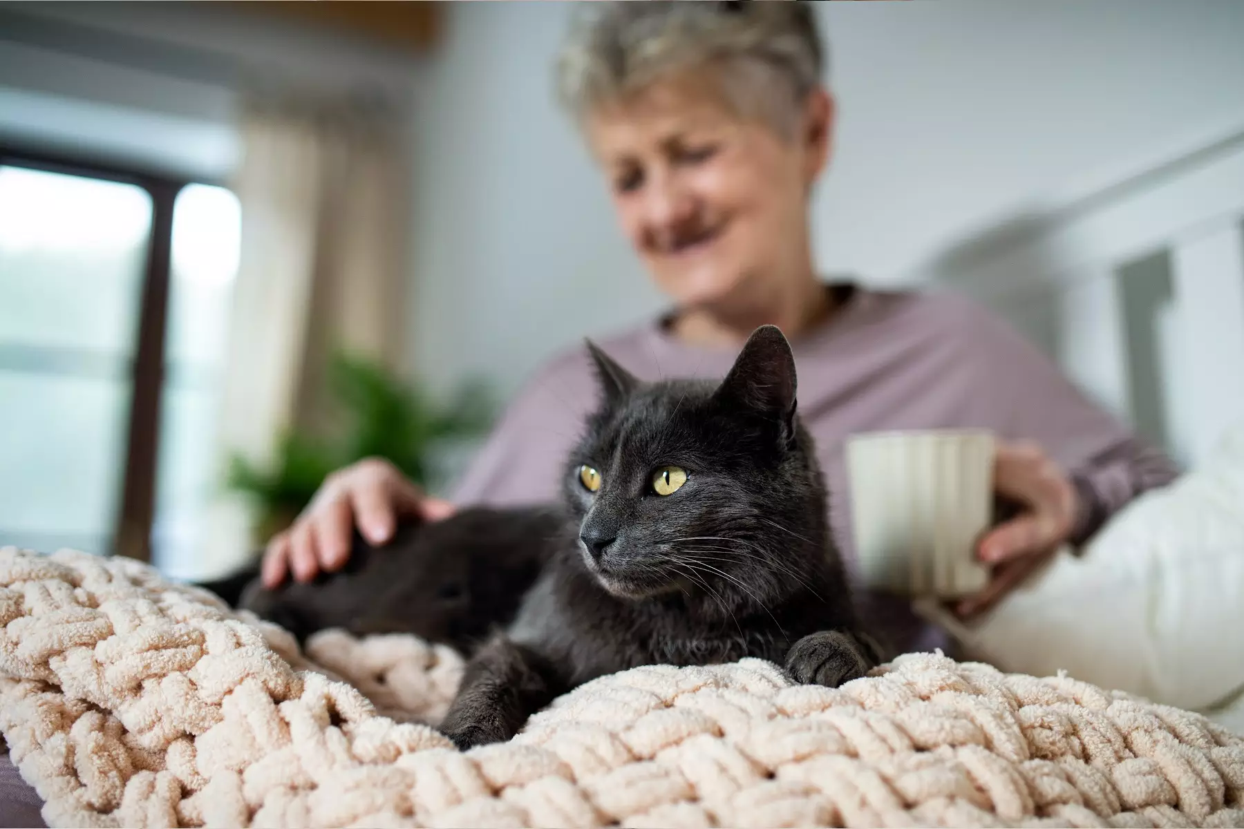 Senior person with gentle senior dog showing companionship